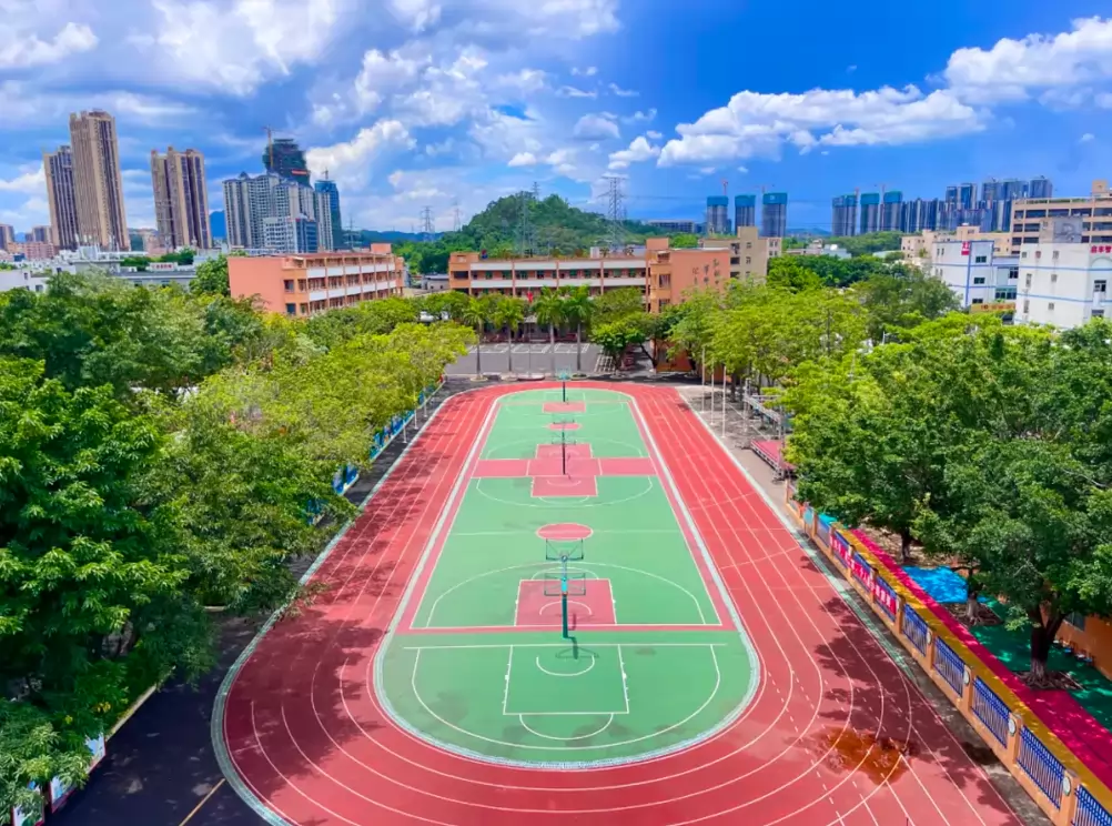 深圳市宝安区东升实验学校