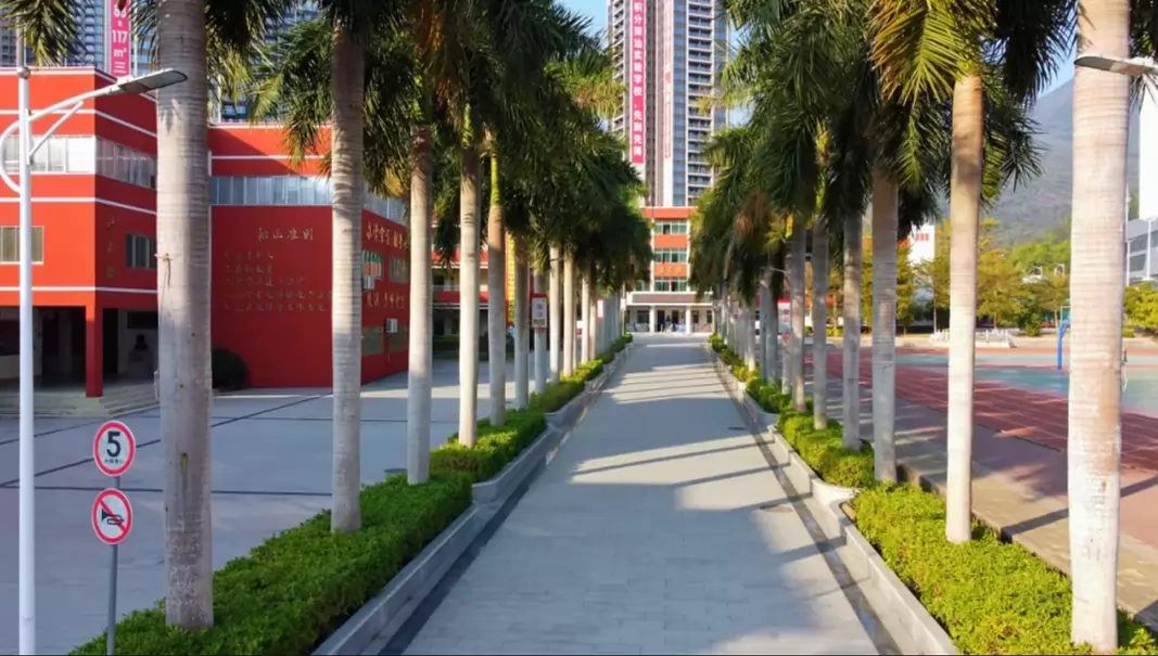 深圳市深汕特别合作区松正学校4