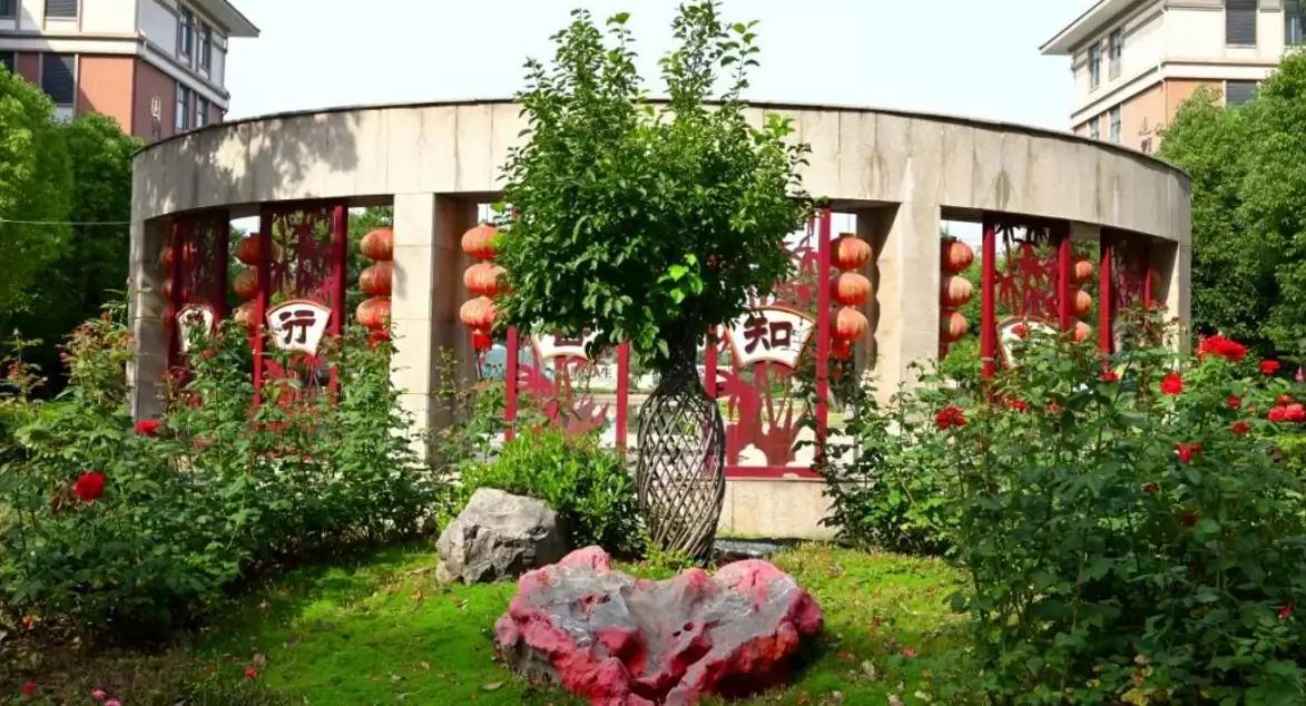 滁州阳之光高级中学2