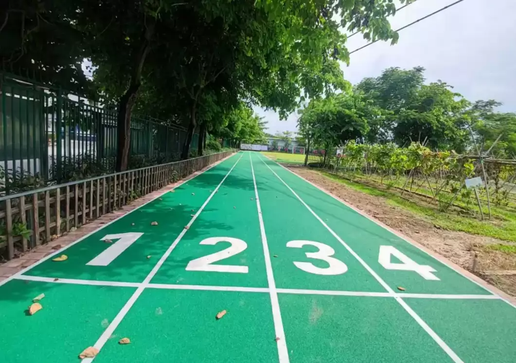 广州市白云区嘉龙小学3