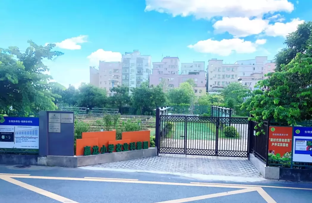 广州市白云区嘉龙小学2