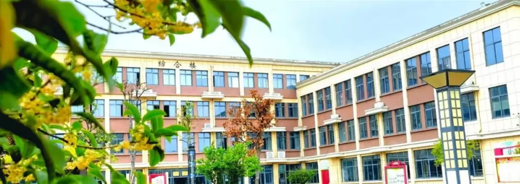 马鞍山丹阳外国语学校