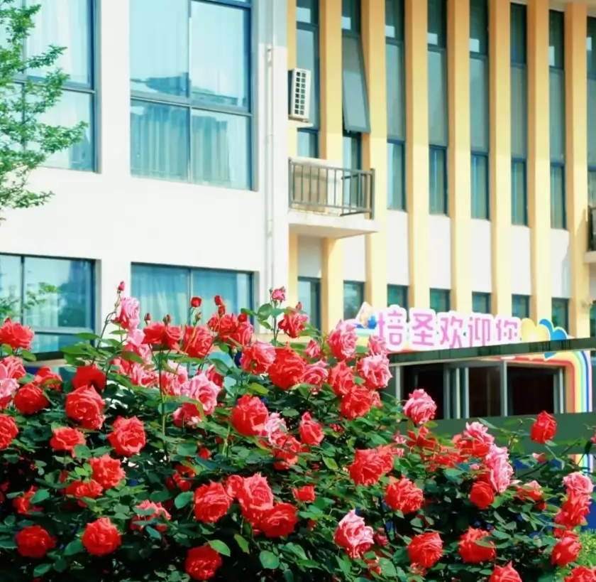 长沙市岳麓区培圣学校环境图片3