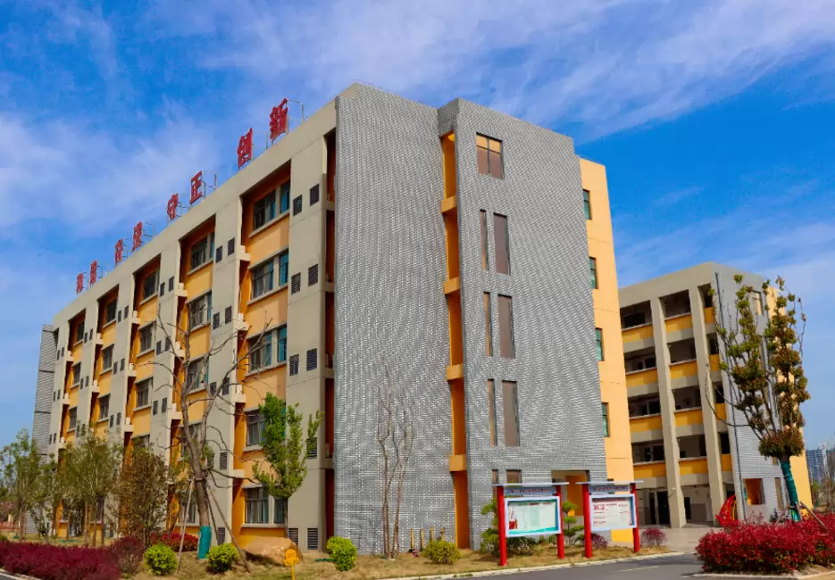 五河致远实验学校3