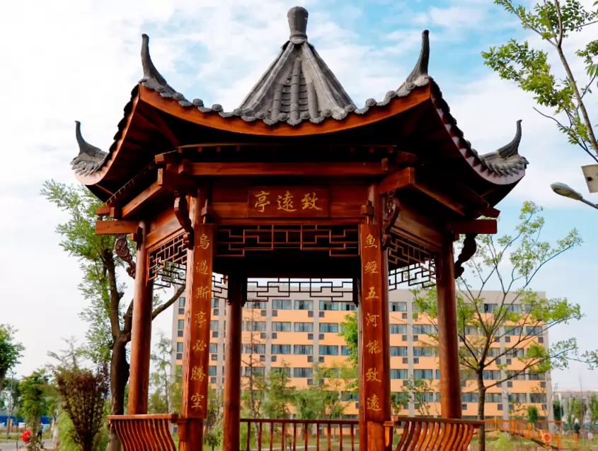 五河致远实验学校2