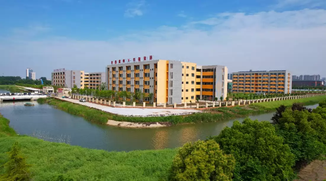 五河致远实验学校