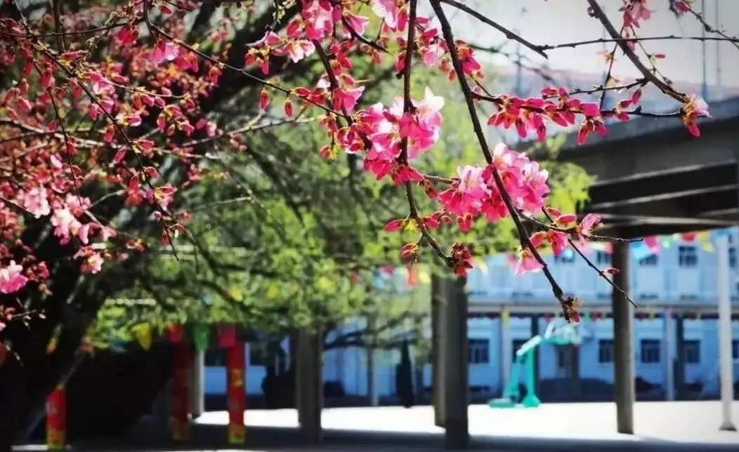 怀仁启中学校