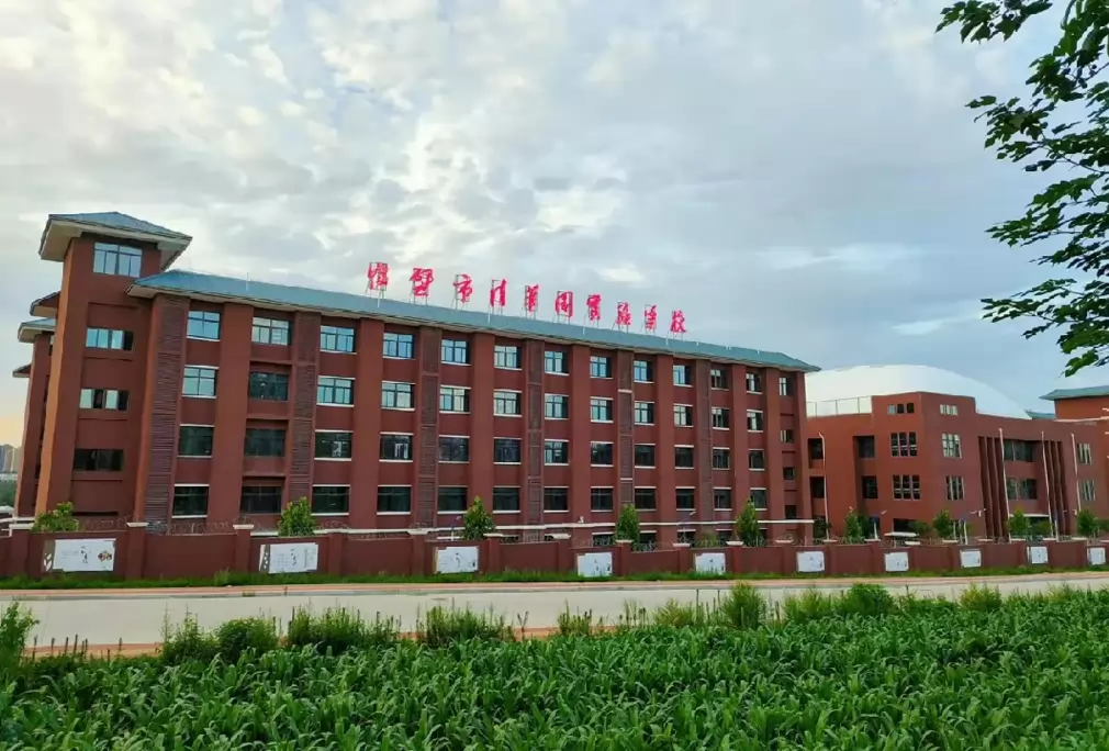 鹤壁市清华园实验学校4