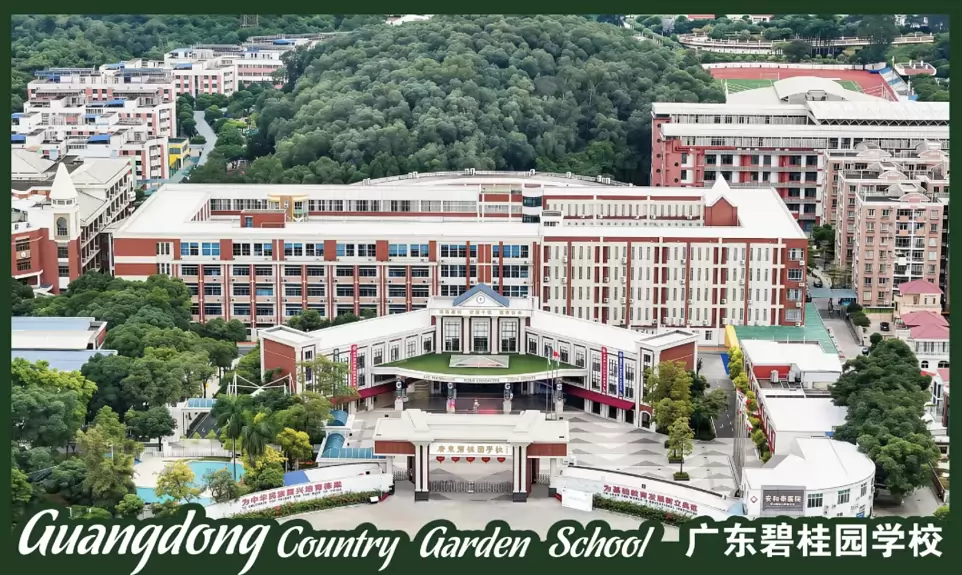 相关配图_28