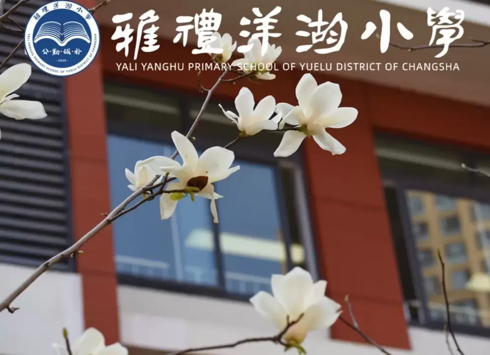 2026年秋季长沙市岳麓区雅礼洋湖小学招生简章
