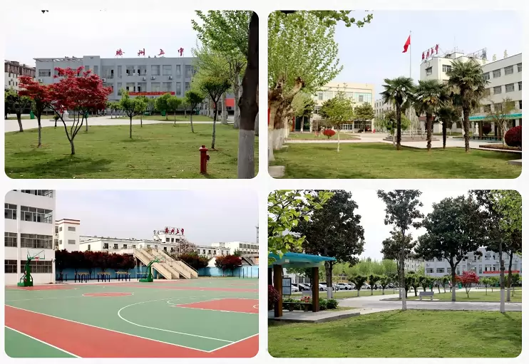 滕州市第五中学