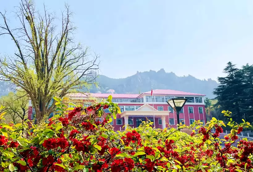 2026年秋季青岛启迪中学艺体特长生招生简章