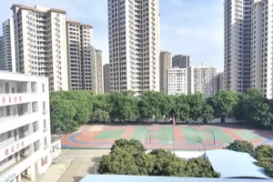 湛江市霞山为民实验学校收费标准(学费+伙食费)及学校简介