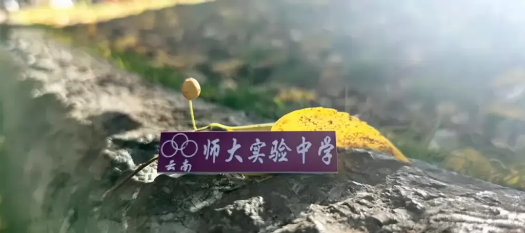 云南师范大学实验中学