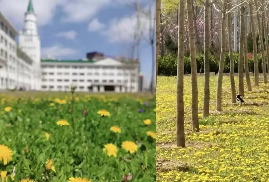 大连致正学校