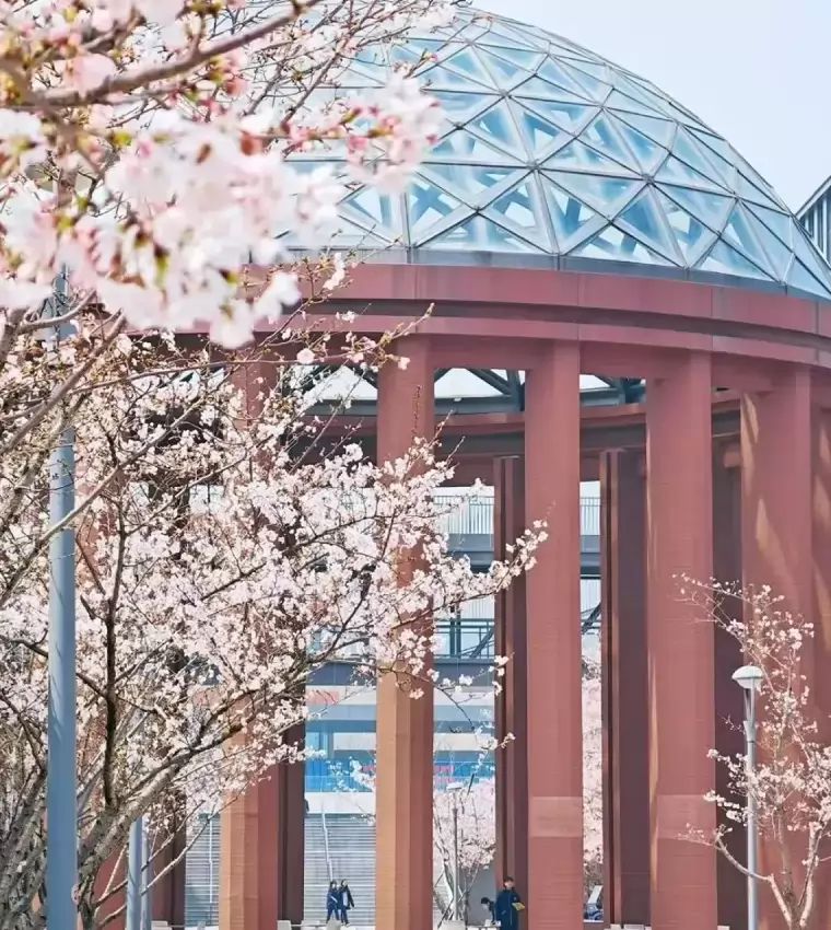 南京方山外国语学校