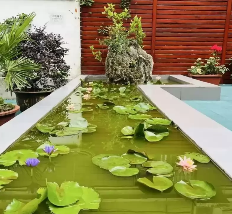 郑州啟思中学