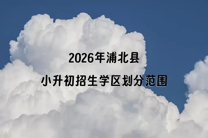 2026年浦北县小升初招生学区划分范围一览