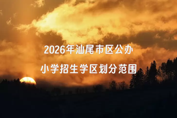 2026年汕尾市区公办小学招生学区划分范围一览