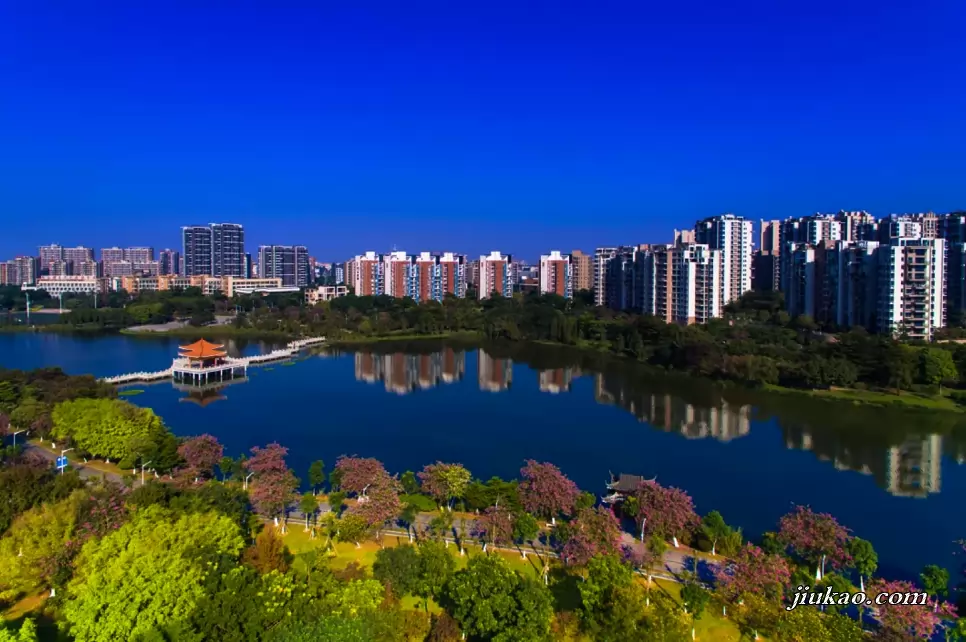 东莞市松山湖南方外国语学校