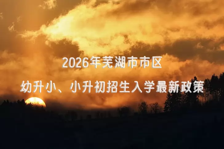 2026年芜湖市市区幼升小、小升初招生入学最新政策