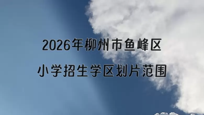 2026年柳州市鱼峰区小学招生学区划片范围