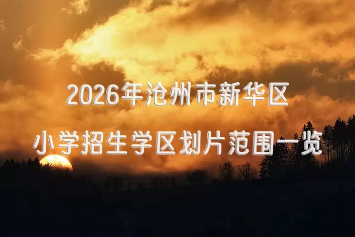 2026年沧州市新华区小学招生学区划片范围一览