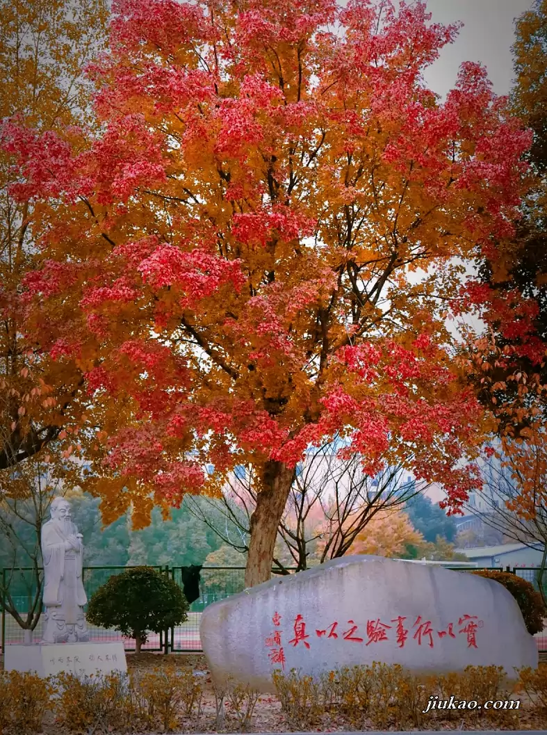 肥西实验高级中学