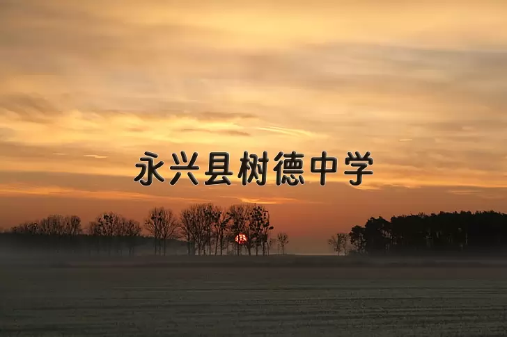 永兴县树德中学
