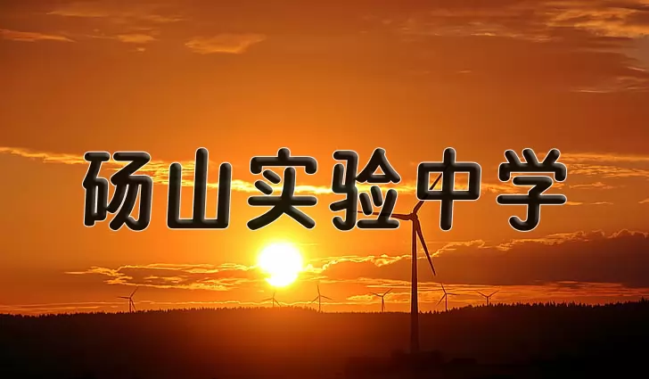 砀山实验中学