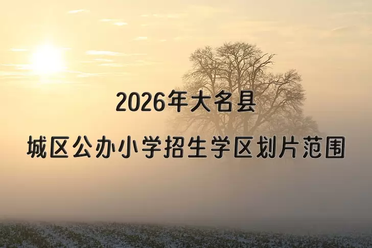 2026年大名县城区公办小学招生学区划片范围一览
