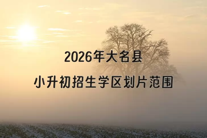 2026年大名县小升初招生学区划片范围一览