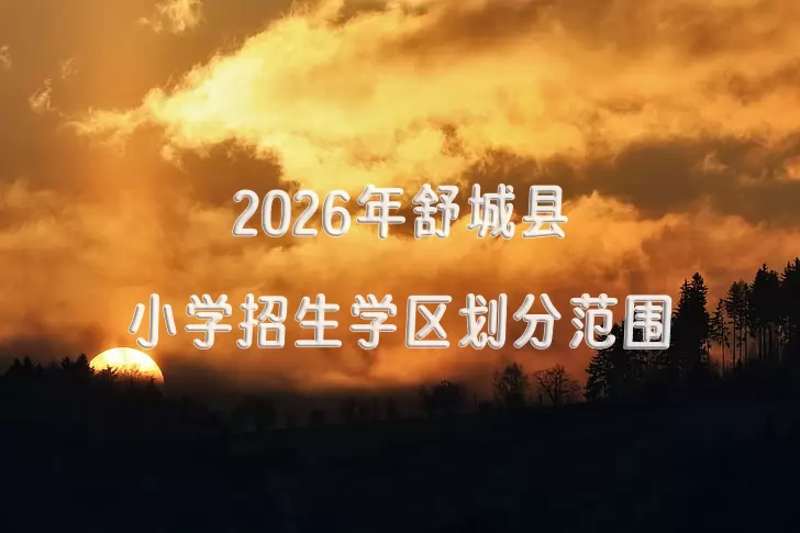 2026年舒城县小学招生学区划分范围一览