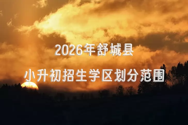 2026年舒城县小升初招生学区划分范围一览