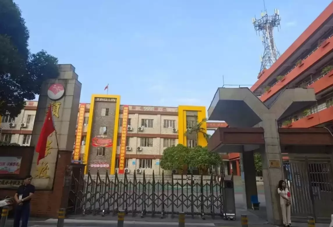 佛山市顺德区乐从颖林水藤学校