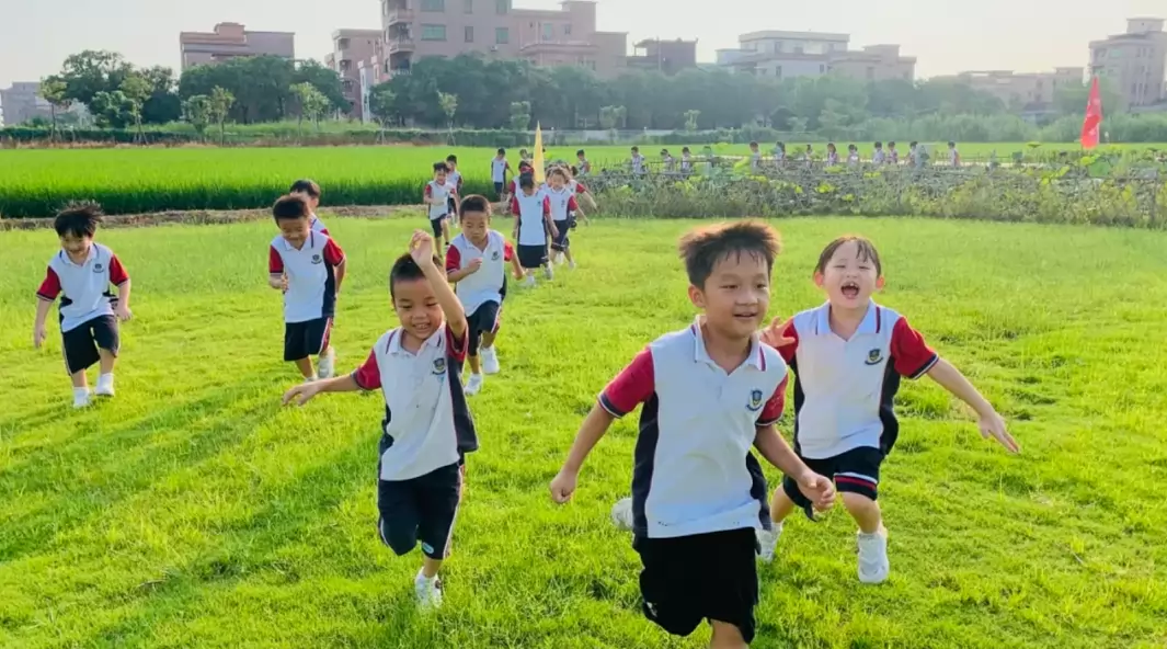 东莞市高埗世外实验小学