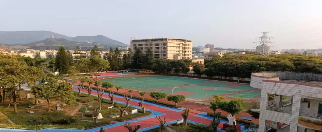 东莞市樟木头养贤小学